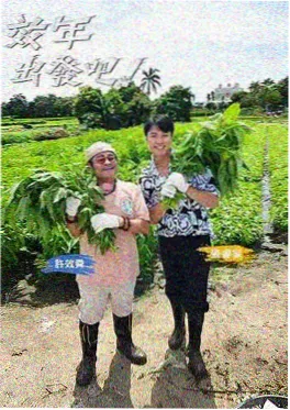 K-pop 星工场 综艺 2026